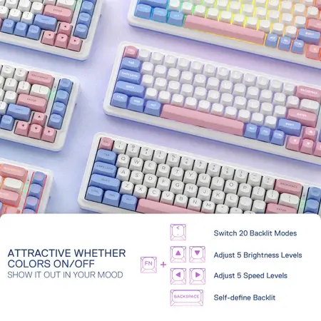 Redragon K709 PRO 65% Wireless Gasket RGB Gaming Keyboard